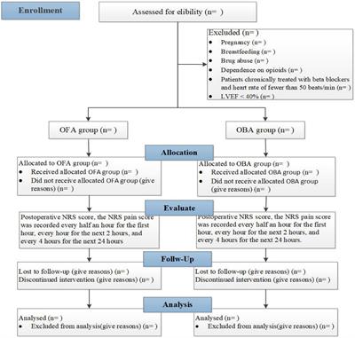 Is esketamine-based opioid-free anesthesia more superior for postoperative analgesia in obstructive sleep apnea patients undergoing bariatric surgery? A study protocol